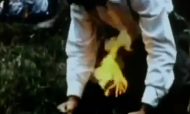 Filmen var «ulovlig i 46 land»: - Ekte mennesker blir drept på skjermen